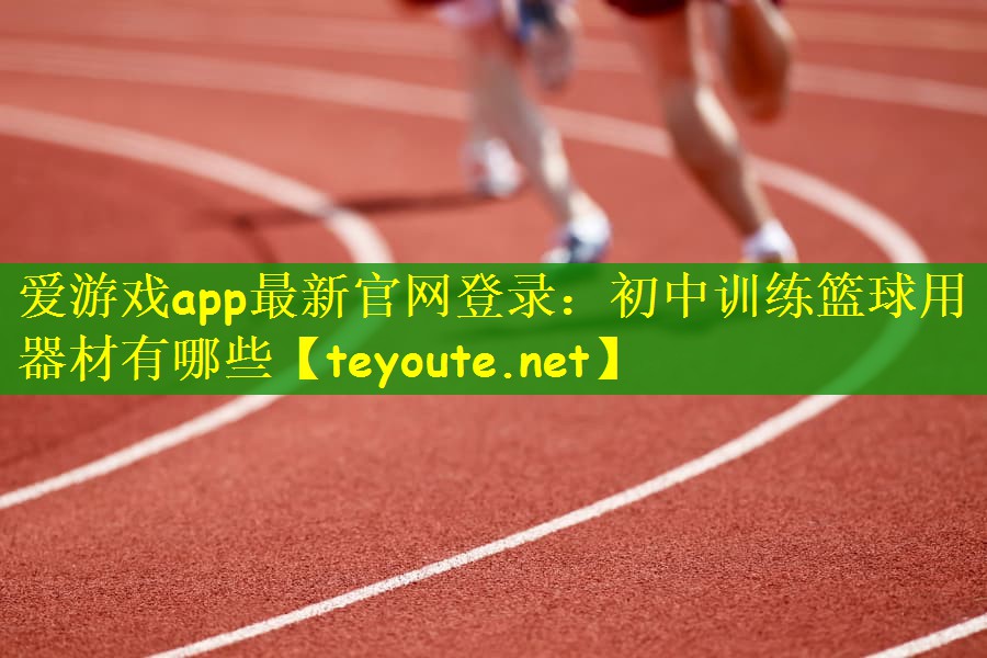 爱游戏app最新官网登录：初中训练篮球用器材有哪些